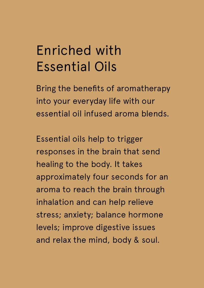 Cinnamon & Vanilla Bean Body Wash – 500ml | Therapy Range