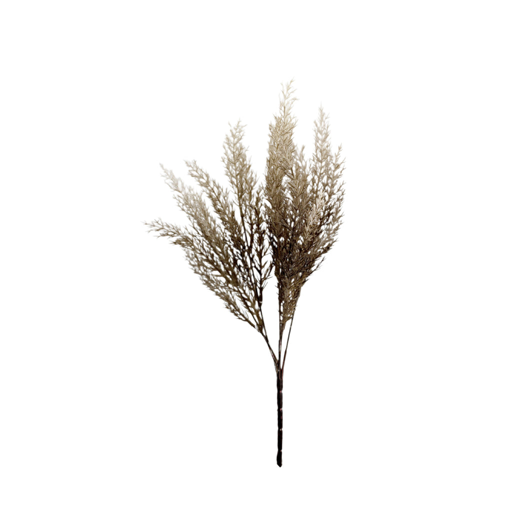 Astilbe Bundle in Mocha, 38cm Faux Dried Look Spray
