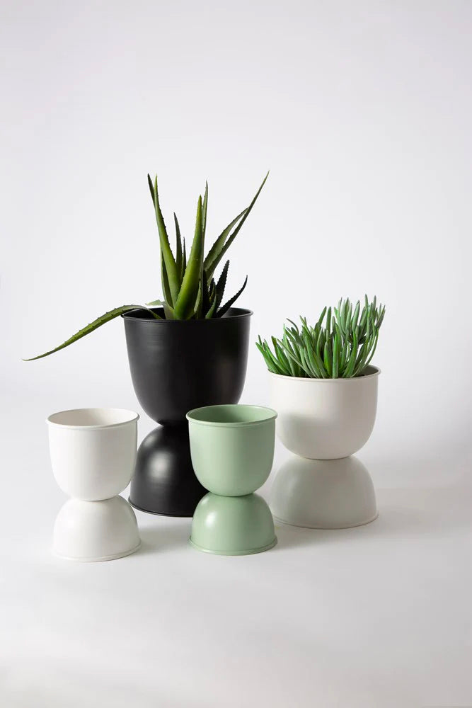 Black, white and sage Domes planters with plants on a white surface