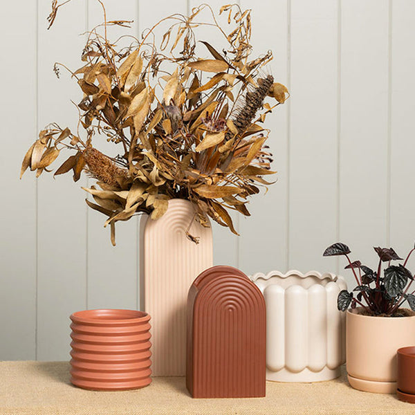Collection of ceramic vases and planters with dried foliage on a neutral background