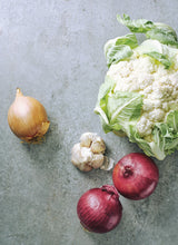 Sarah Tuck Dish Fast Two Cookbook | 100+ Quick Seasonal Recipes