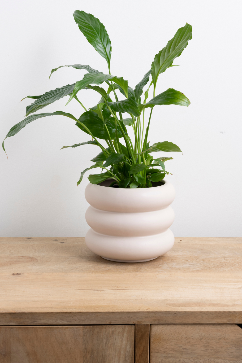 Milan Sculptural Planter – Parchment Ceramic Pot in 3 Sizes