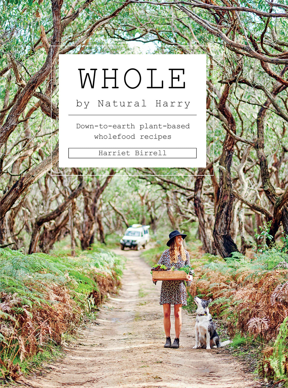 Whole by Harriet Birrell plant based wholefood cookbook front cover