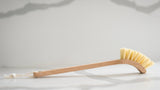 Natural wooden dish brush with tampico plant fibre bristles