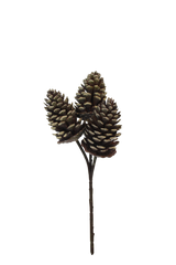 Pinecone Pick