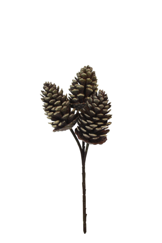 Pinecone Pick