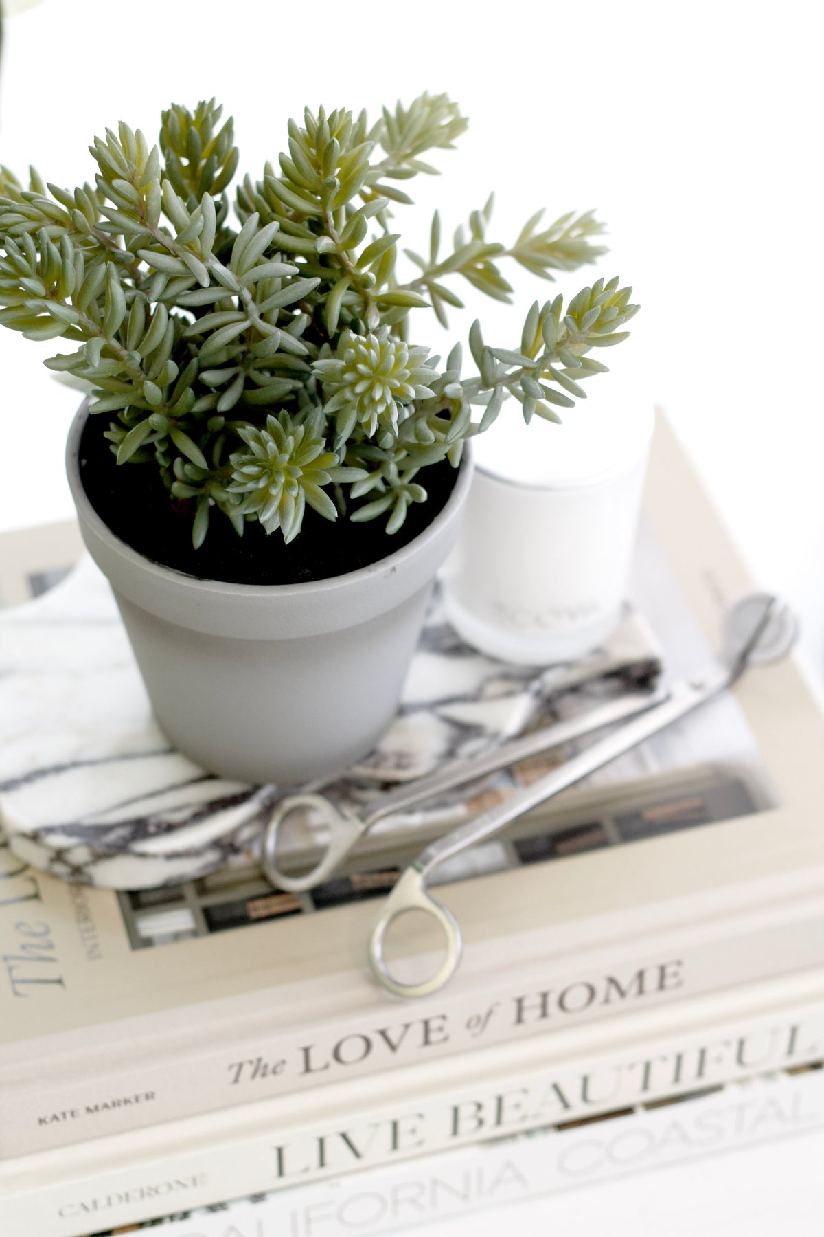 Artificial succulent in grey ceramic pot styled on a book stack with soft green foliage, realistic faux plant for modern interiors