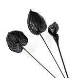 Black Anthurium Stem – Sculptural Faux Flower for Modern Styling