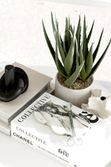 Artificial aloe plant in cement pot styled on coffee table with design books