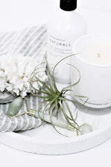 Artificial pineapple air plant faux tillandsia 15cm styled on a white tray with candle and self-care accessories in neutral tones