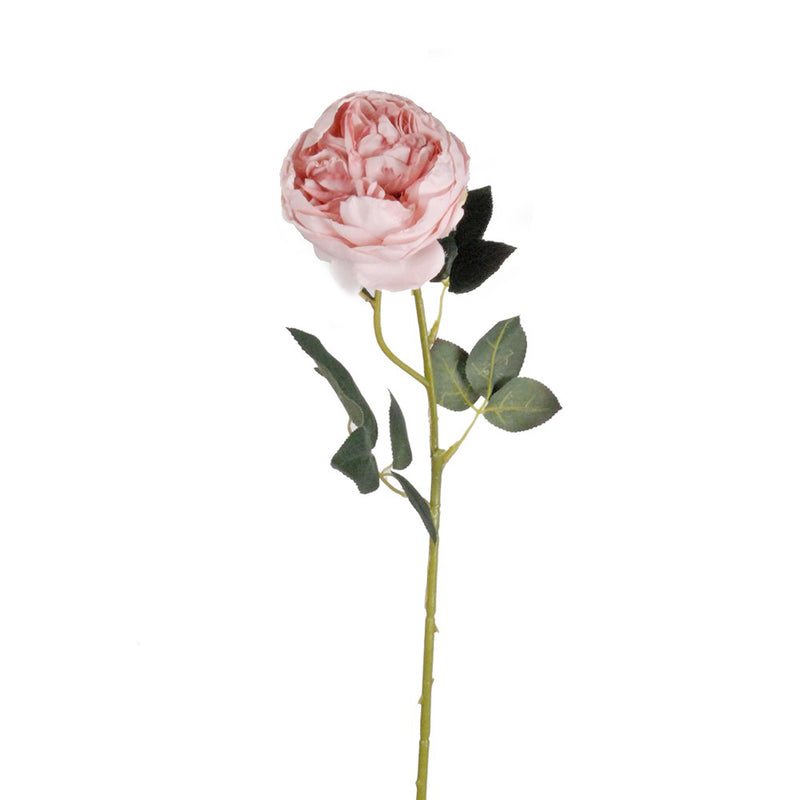 An Austin Rose - Various Colours, one of Artificial Flora's vibrant creations, gracefully adorns a stem that elegantly stretches towards the sky. Standing alone against a pristine white background, this exquisite flower captivates.