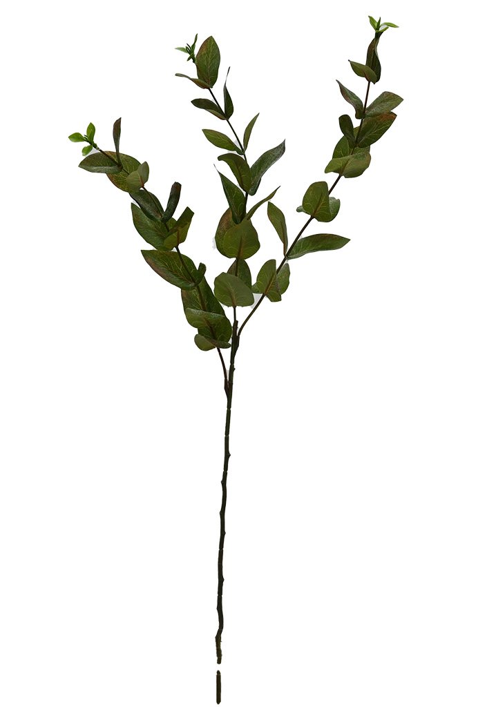 Faux beech leaf spray in hunter green with small oval leaves, on a white background