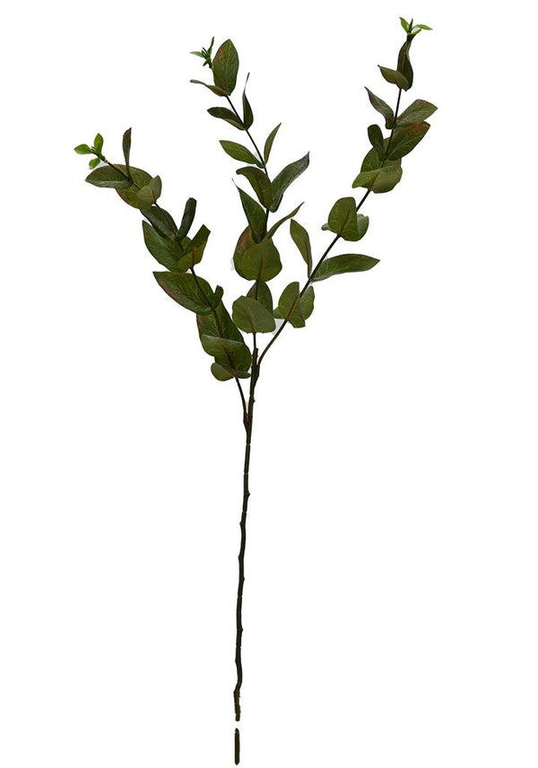 Artificial eucalyptus branch on a white background