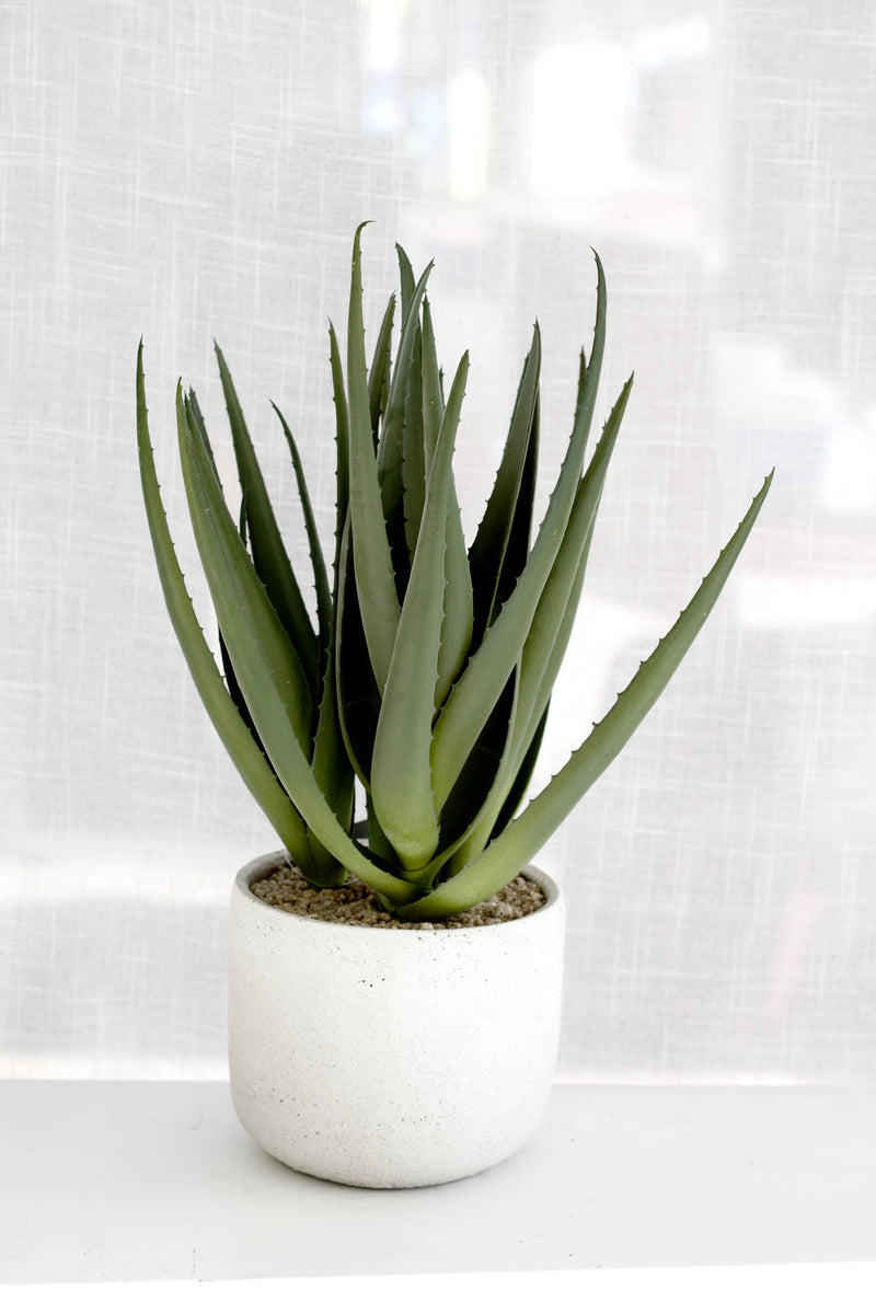 Close-up of artificial aloe plant in raw cement pot