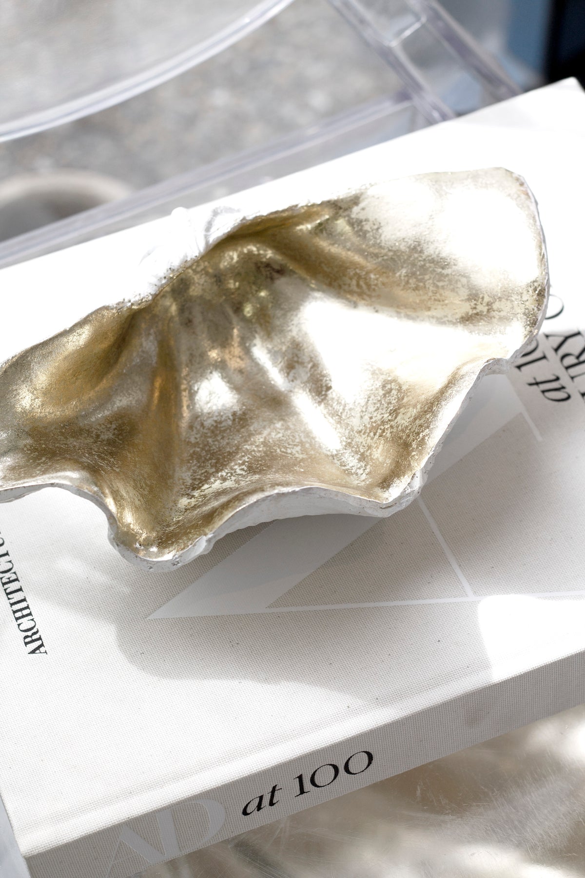 Angled view of the clam shell's scalloped champagne interior resting on a white book