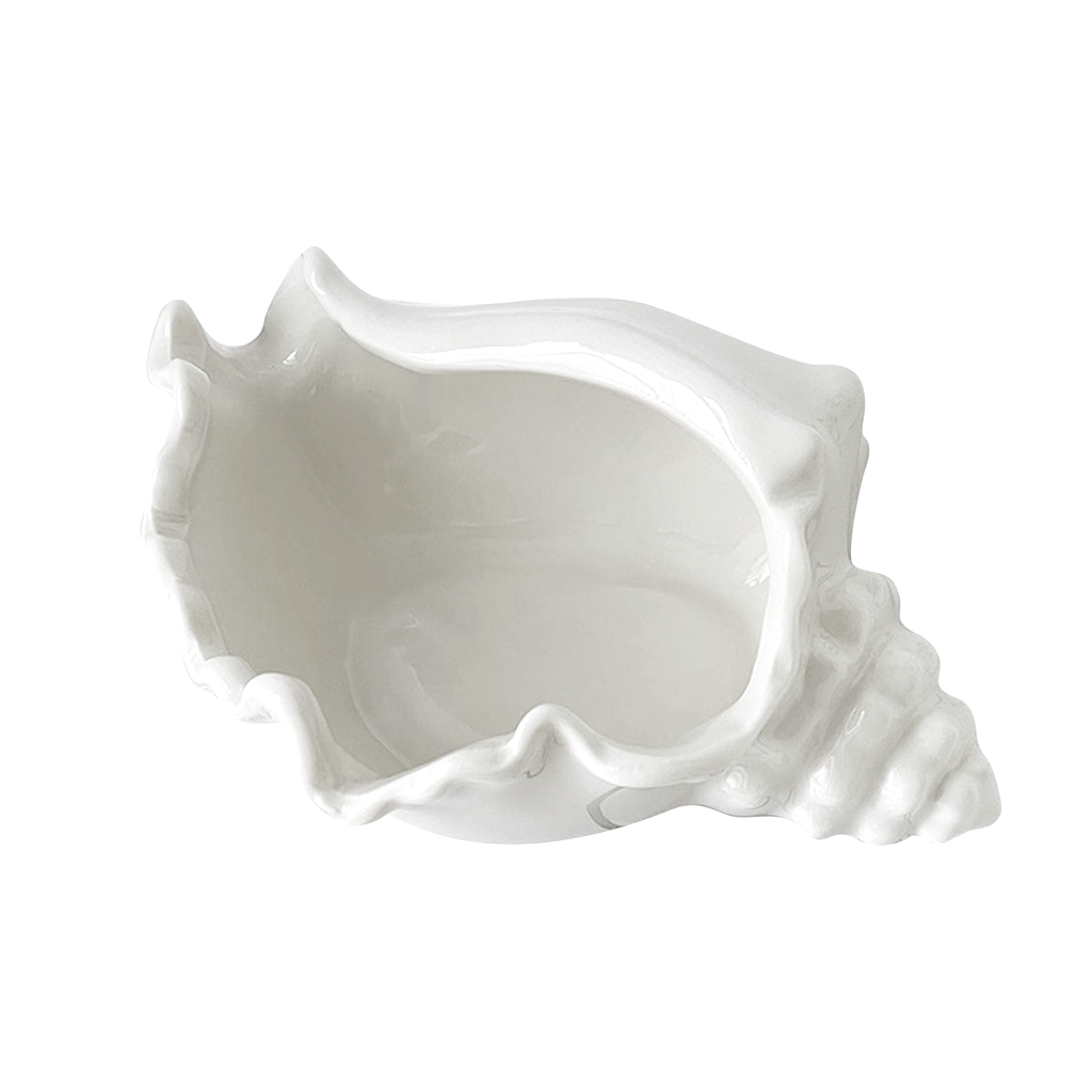 Conch shell bowl from the front, the hollow interior open between fluted lipped edges
