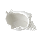 Conch Shell Bowl