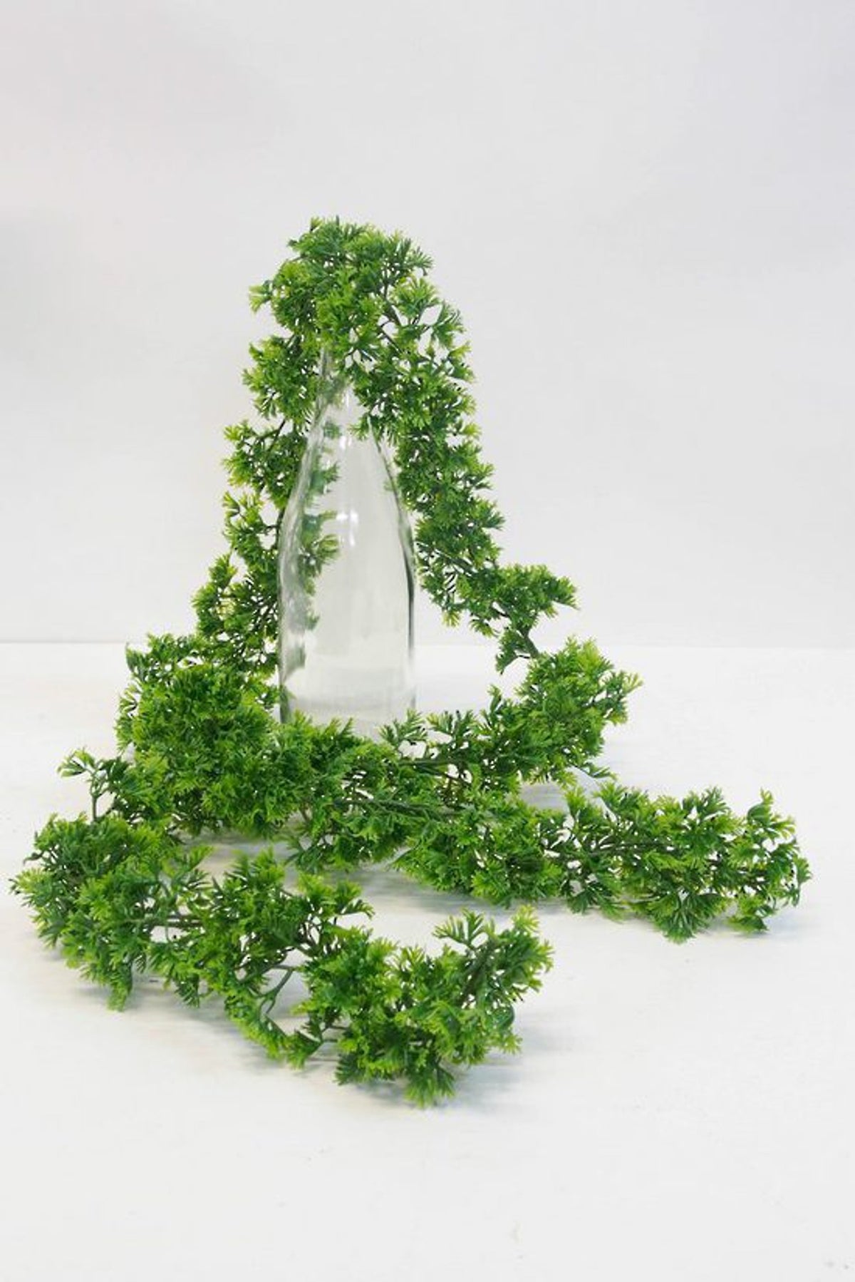 Coriander Leaf Garland, lush bright green coriander vine coiled around a clear glass vase on a table