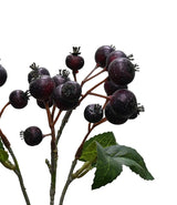 Close-up of faux Crab Apple Berry in Black Doris, showing clusters of deep plum berries and serrated green leaves.