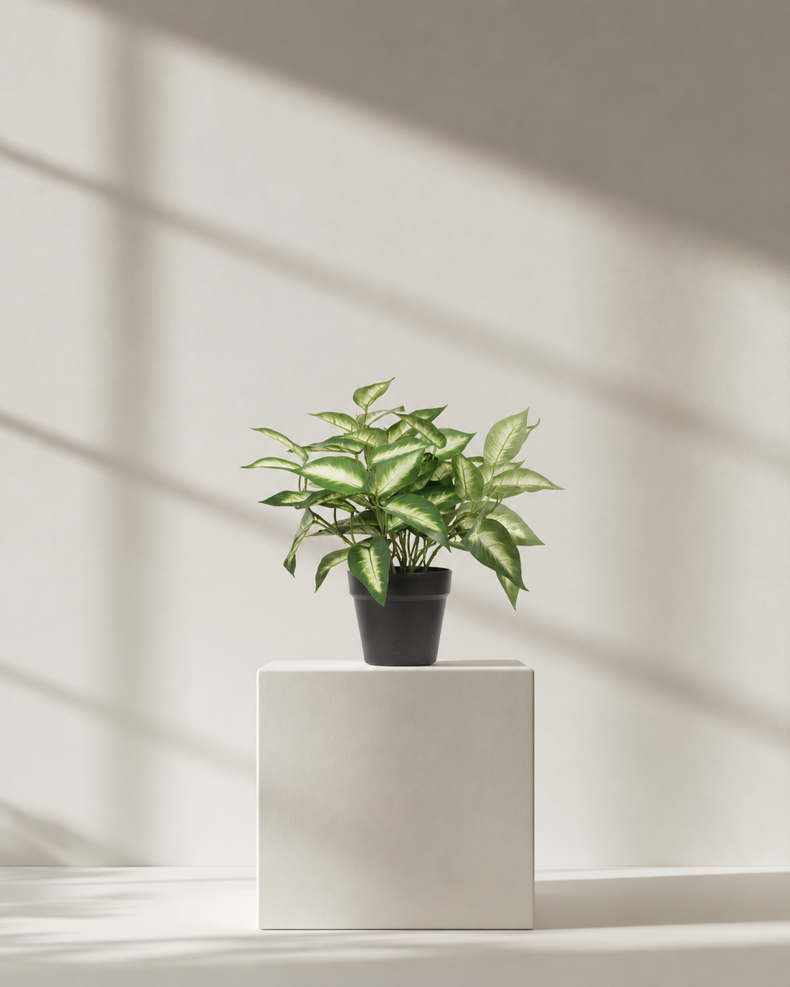 Dieffenbachia Picta faux potted plant in a black pot on a white plinth in soft window light