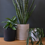 Athens Planter Black – Ribbed Ceramic Pot with Saucer & Drainage (3 Sizes)