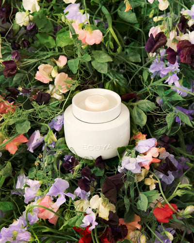 ECOYA Electric Wax Melter nestled within a bed of mixed garden florals and greenery, evoking the Sweet Pea & Jasmine Soy Wax Melt fragrance.
