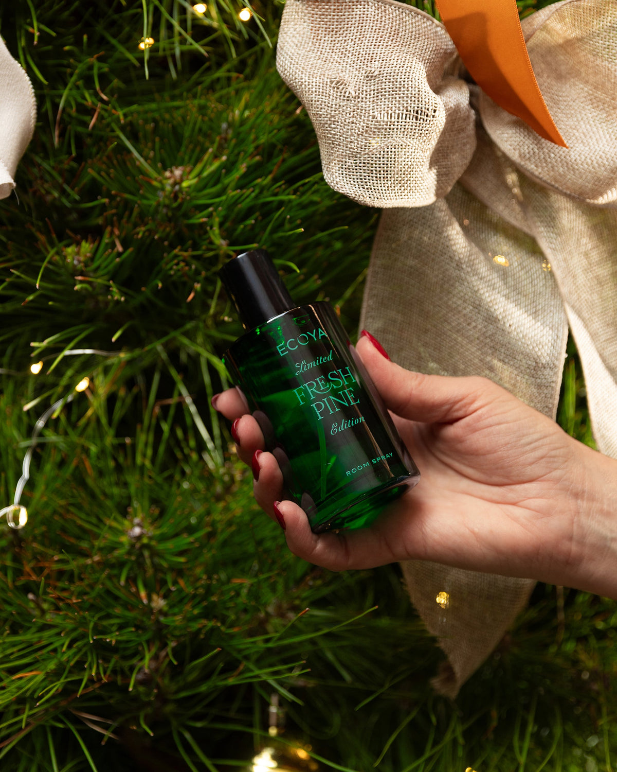 Hand holding the Ecoya Fresh Pine room spray among pine branches