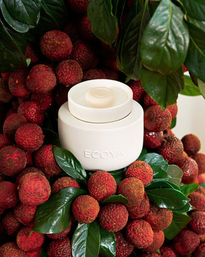 ECOYA Electric Wax Melter close up among fresh lychees and leaves, styled to evoke the Guava & Lychee Sorbet Soy Wax Melt fragrance.