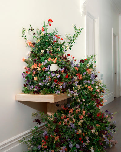 ECOYA Electric Wax Melter on a timber shelf against a wall decorated with cascading sweet pea and jasmine florals and greenery.