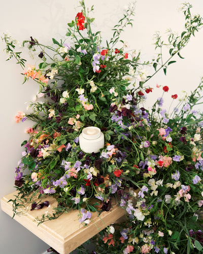 ECOYA Electric Wax Melter placed within a lush floral and botanical installation with sweet pea and jasmine.