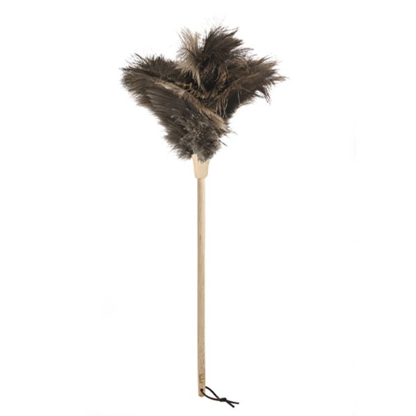 A genuine Florence ostrich feather duster with a beech handle.