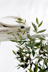 Faux olive tree in clay pot, 1m tall, with realistic green leaves and black olives, styled indoors with neutral décor and books.