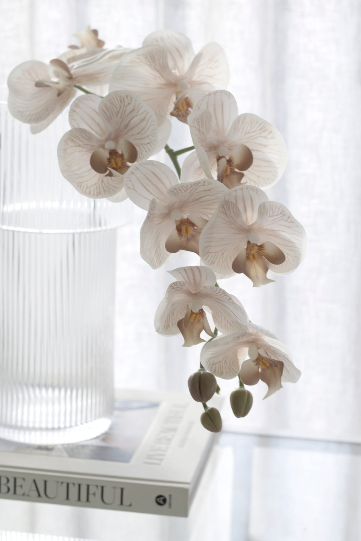Cream orchids arching from a ribbed glass vase on a stack of books, curtain behind