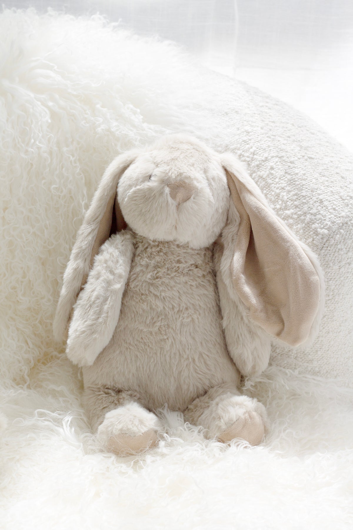 Close-up of Flopsy Bunny soft toy in biscuit showing plush fabric and floppy ears