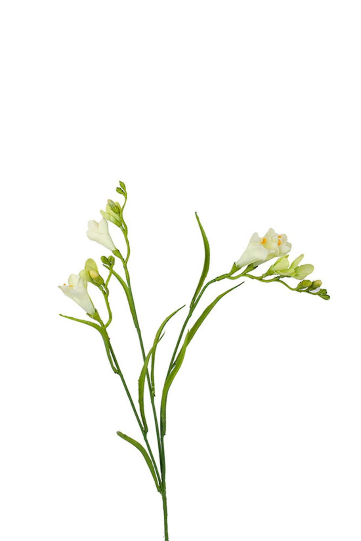 Close up of soft lemon faux freesia blooms and buds on arching green stems