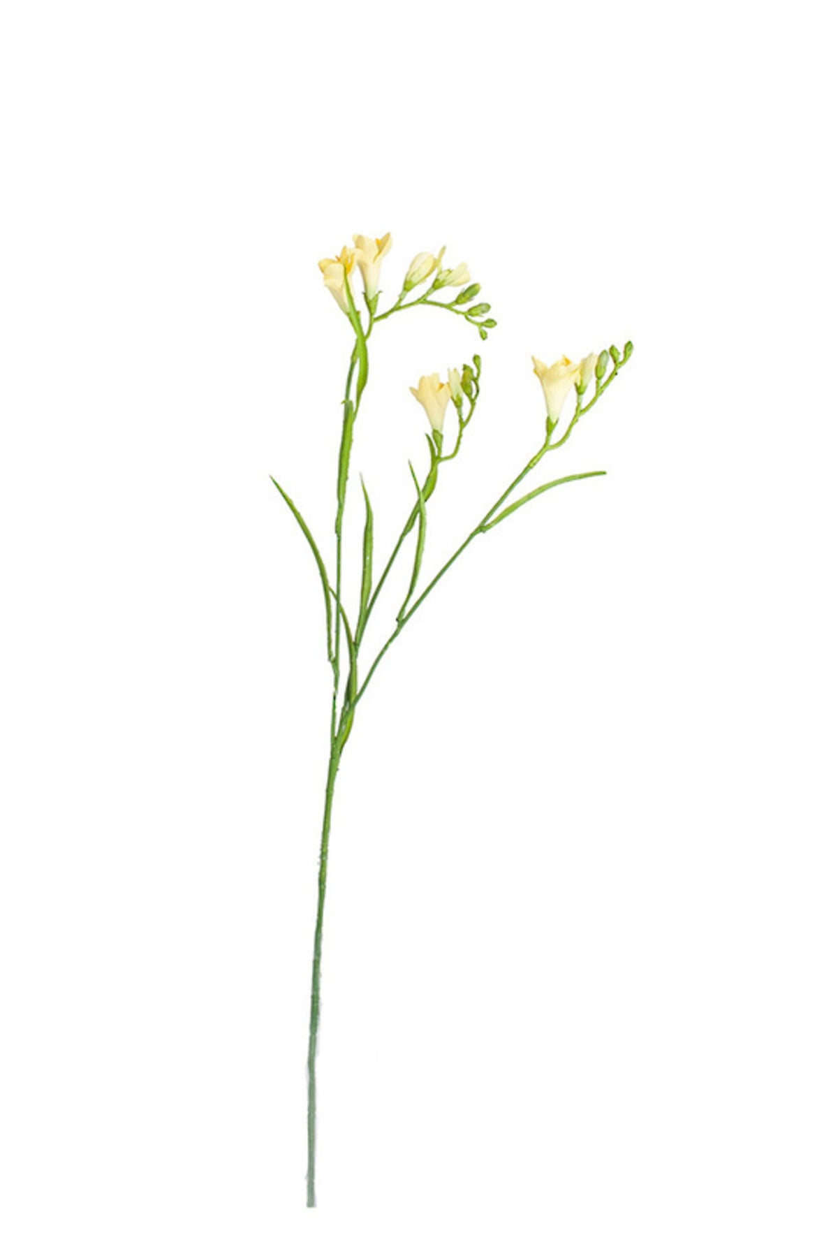 Freesia spray in soft yellow, 63cm faux stem with yellow blooms and long green leaves