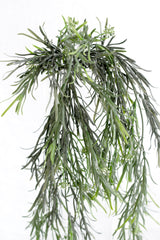 Close-up of feathery leaves on faux sicklethorn fern