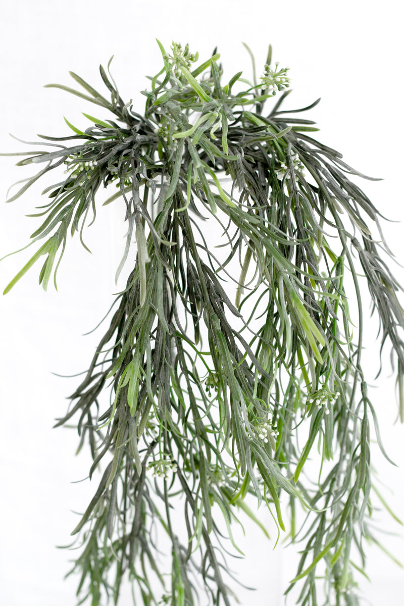 Close-up of feathery leaves on faux sicklethorn fern