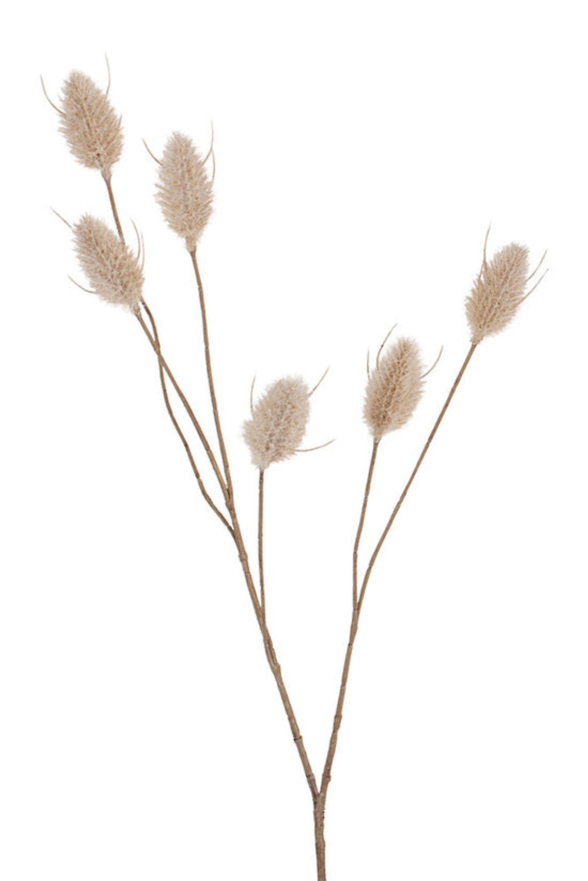 Hare tail six head spray in natural cream, faux bunny tail grass with soft plumes