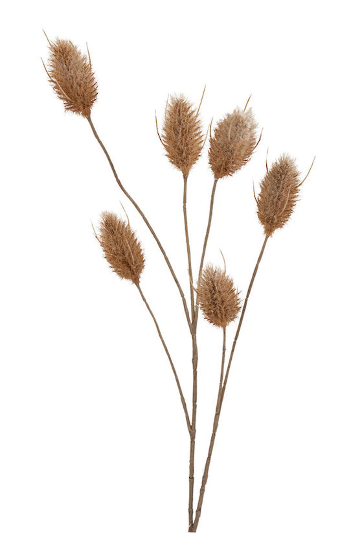 Hare tail six head spray in toasted natural, warm faux bunny tail grass stem
