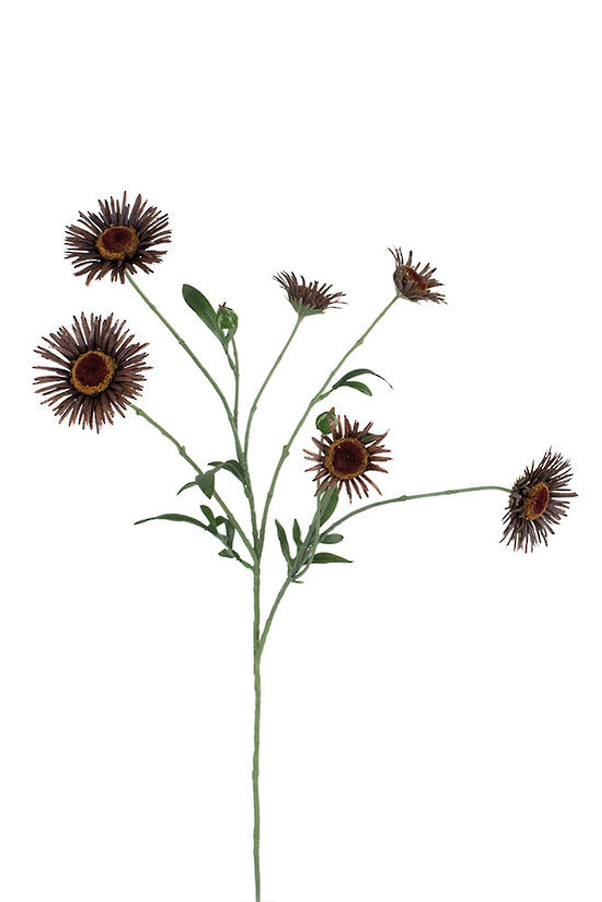 Harvest daisy six head spray in cocoa brown, faux dried daisy stem