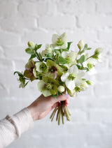 Hellebore Spray – Faux Stem in Cream, Green or Mauve