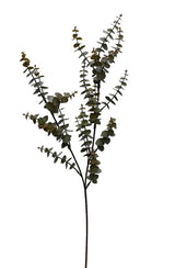 Moss green faux Hinterland Gum eucalyptus stem, 73cm of small rounded leaves on a slender branch.