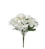 Hortensia Pick - White