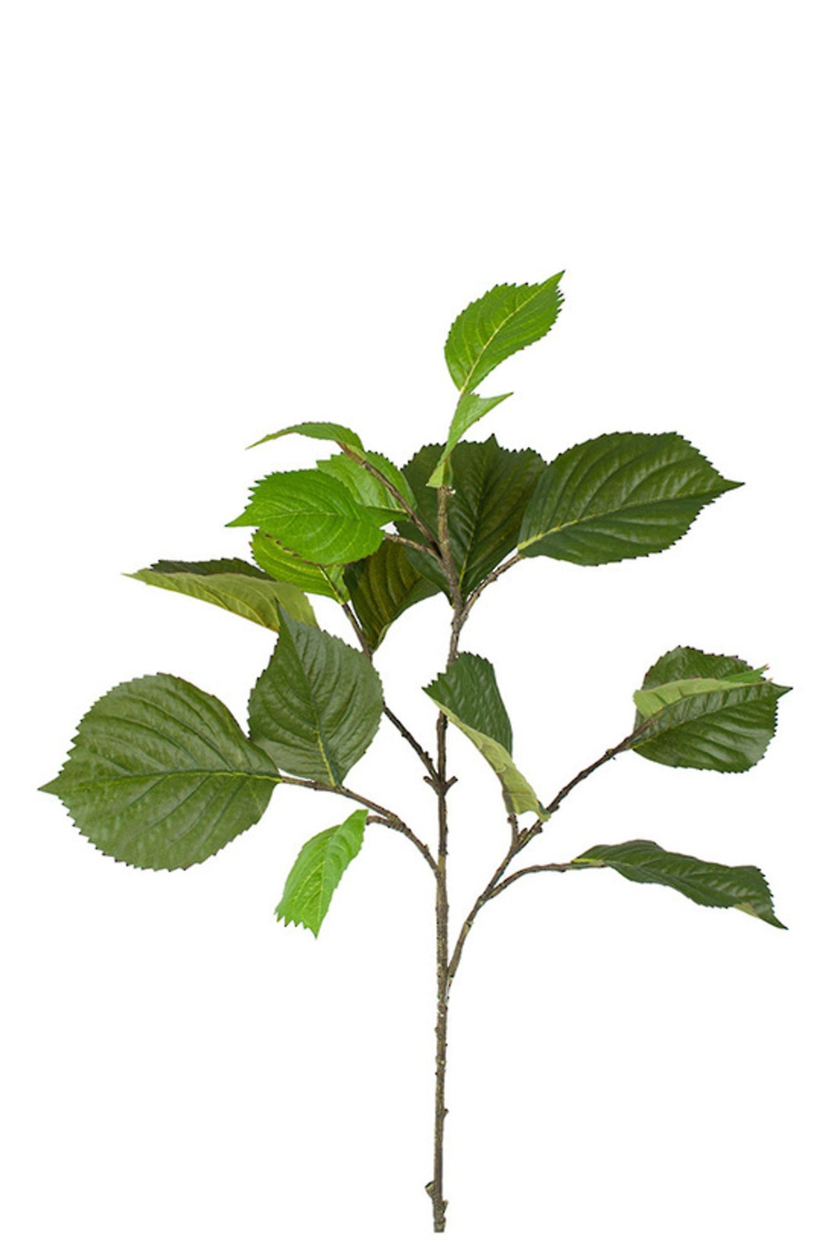 Close up of faux hydrangea leaves in deep and fresh green on a branching stem