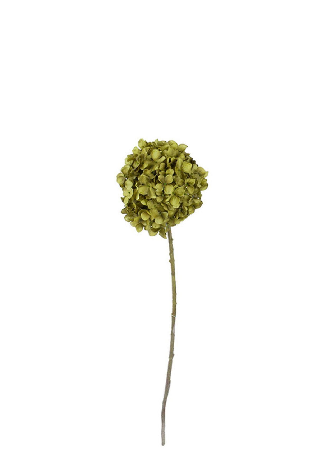 Hydrangea spray in khaki, 70cm faux stem with a single dried-look olive mophead bloom