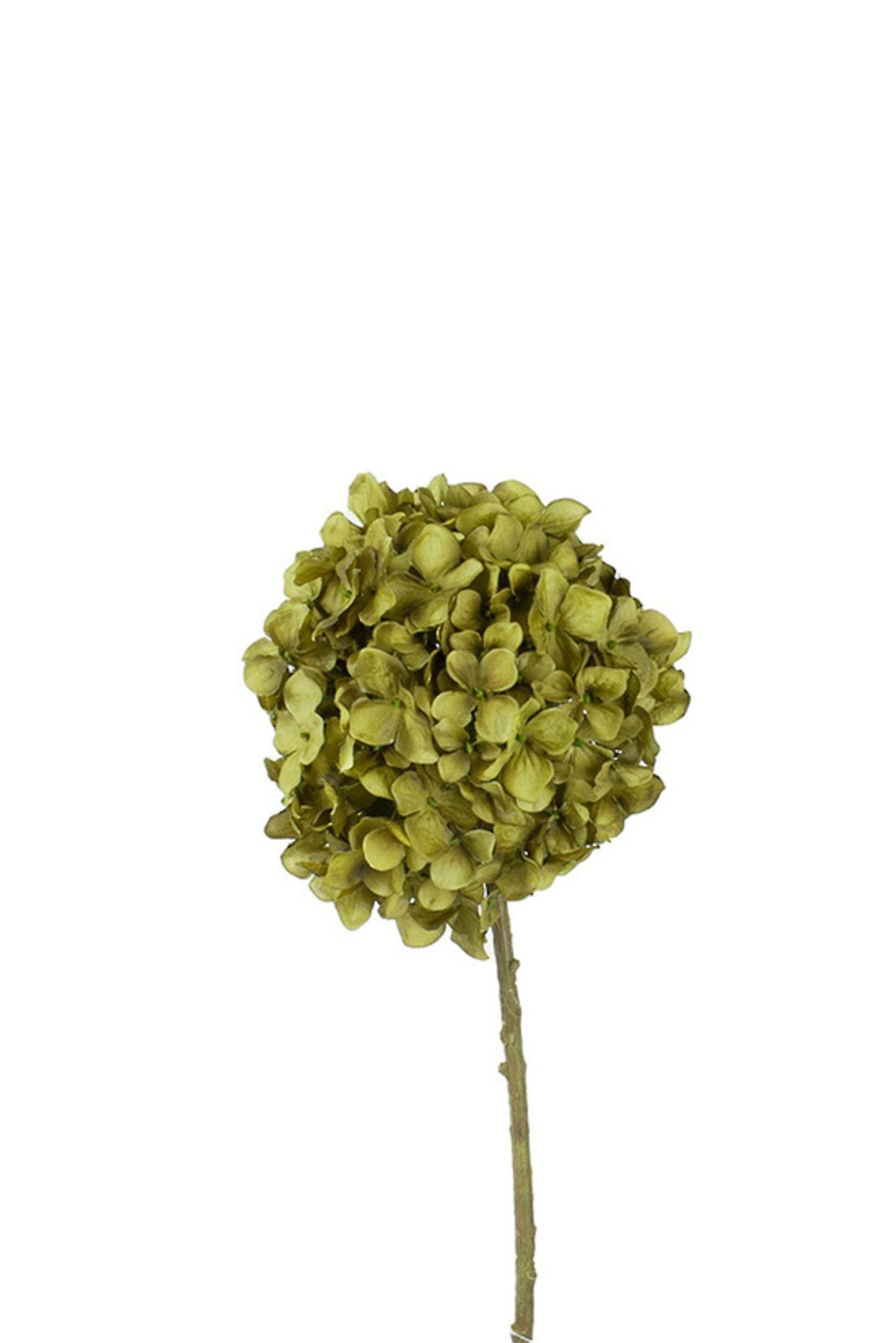 Close up of khaki faux hydrangea bloom with layered olive and bronze-green petals