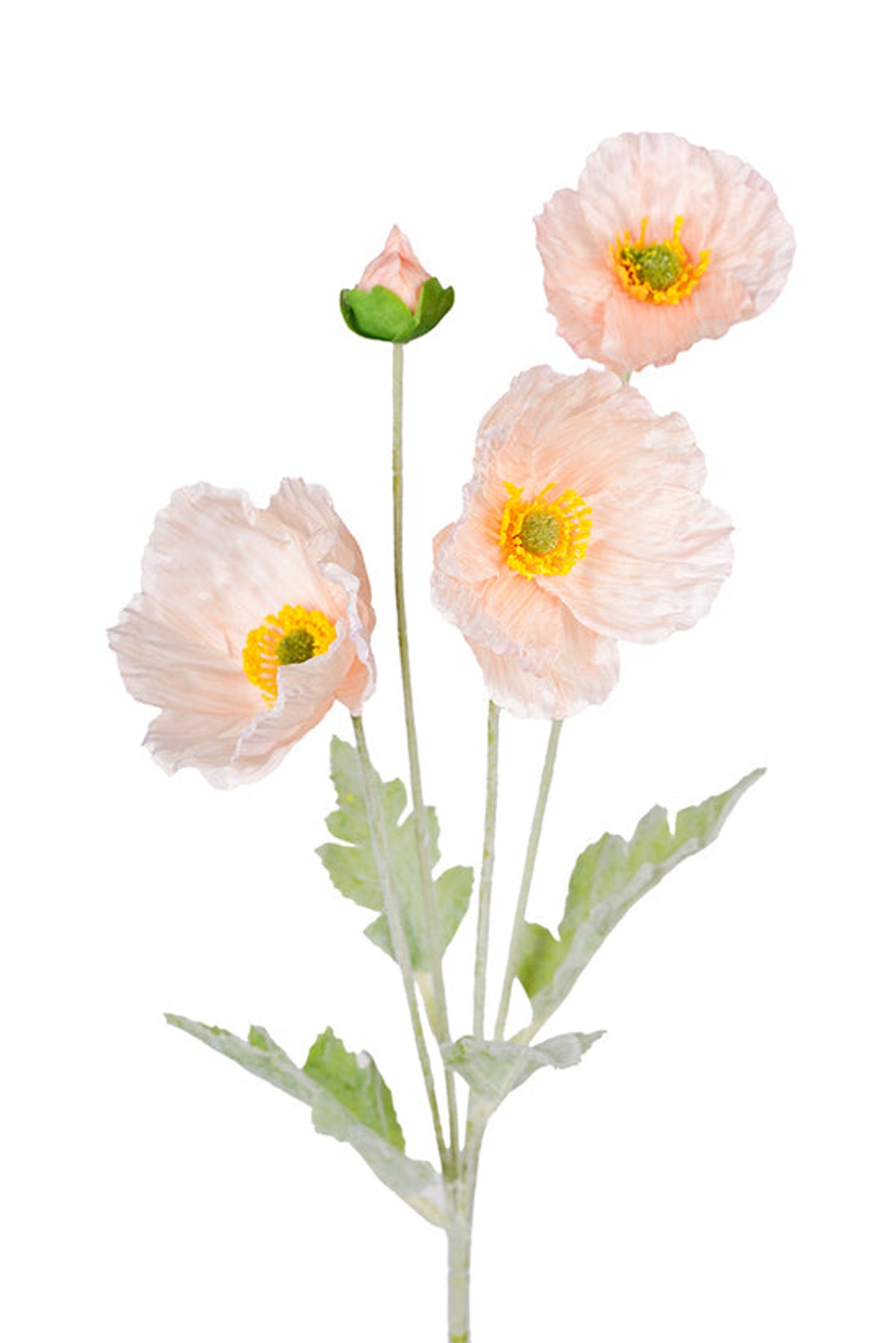 Iceland Poppy Spray in blush, three open peachy pink blooms and a bud, on white