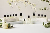 Collection Gift Set for Him | The Perfume Oil Company | 5 x 5ml