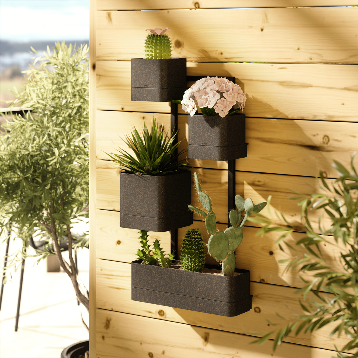 Umbra Cubiko wall planter on timber cladding with succulents and flowering plants